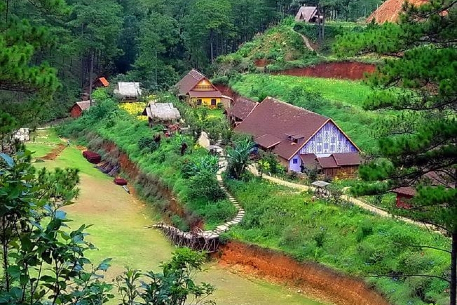Những kinh nghiệm du lịch Đà Lạt từ A-Z “không thể bỏ qua”