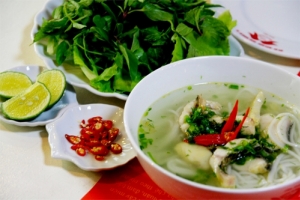 Những món ăn ngon khi đi du lịch Quảng Bình