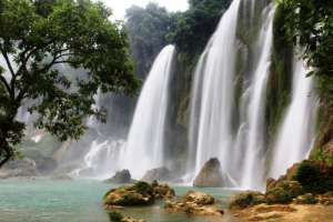 Going to Dak Lak to explore Yok Don National Park