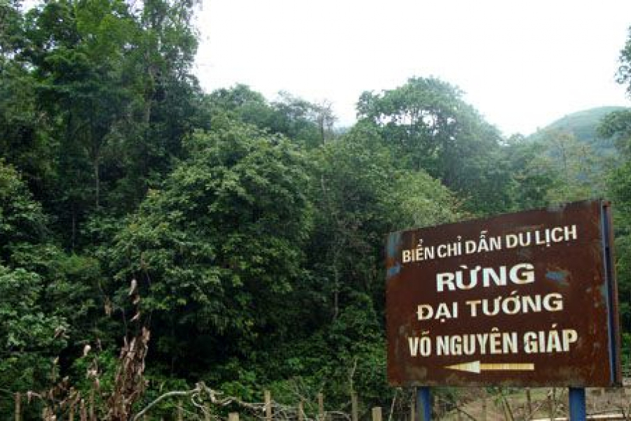 Rừng Đại Tướng Võ Nguyên Giáp- Nơi ghi dấu một thời oanh liệt