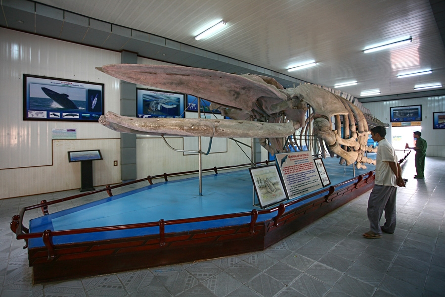 Bảo tàng Hải dương học
