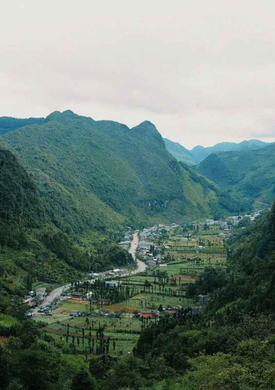 Nguồn Thu Hằng