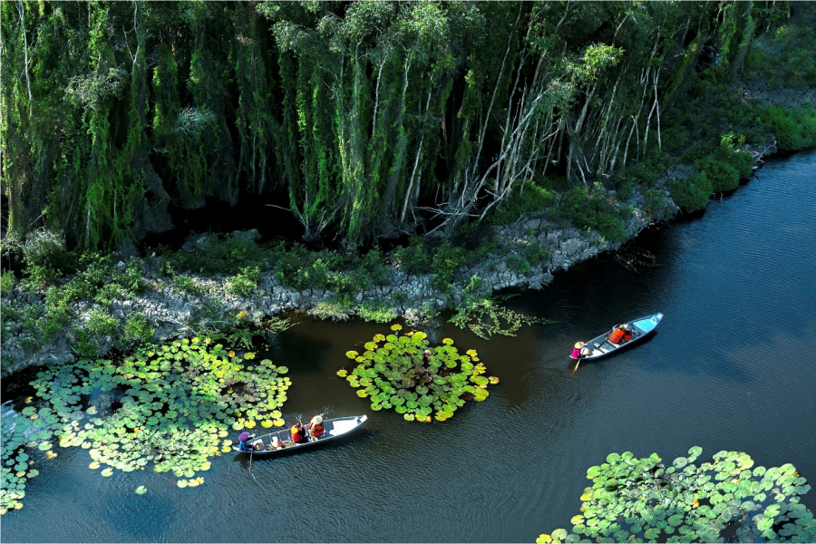 Đồng Tháp